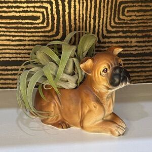 Ceramic Boxer Planter